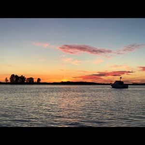 Meet your Posher, Brady